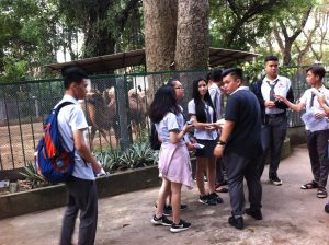 truong-pho-thong-quoc-te-4