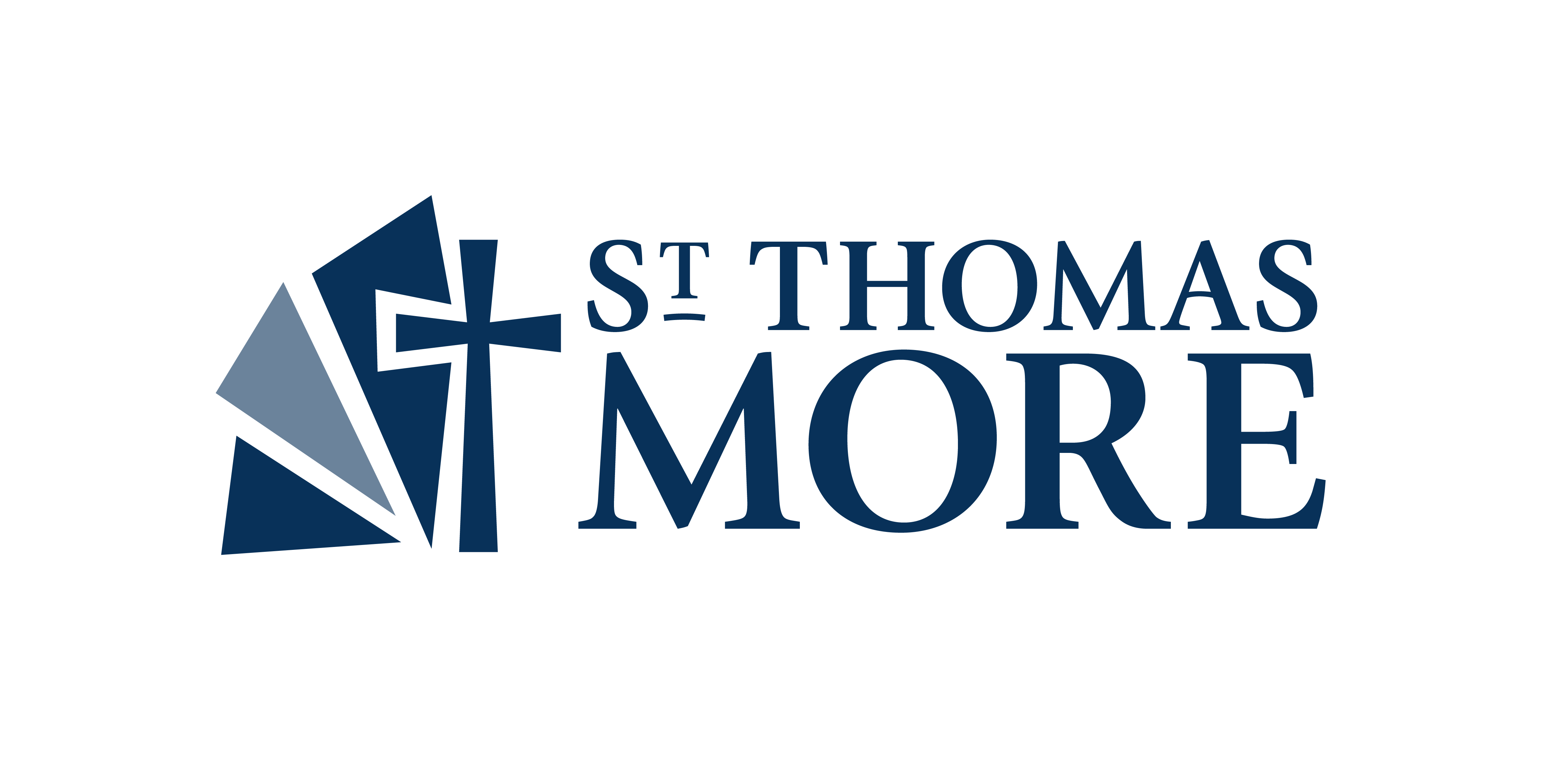 STM Logo